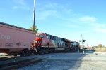 CN 3182